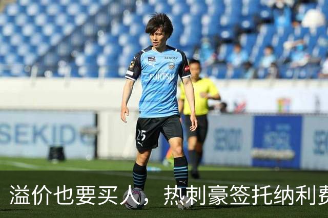 溢价也要买人，热刺豪签托纳利费尔南德斯，凯恩回归迎来关键契机